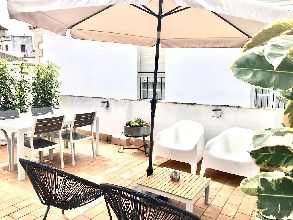 Semiloft Romantico Catedral Con Soleada Azotea Comunitaria Jerez de la Frontera Lägenhet